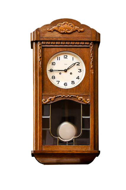 Financial literacy consultant and subject matter expert portrait